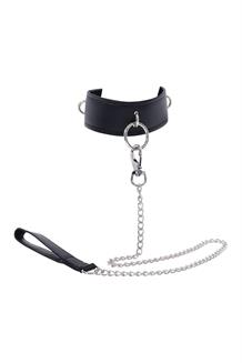 Collar & Leash