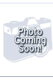 Playboy Best Seller Rabbit Bundle